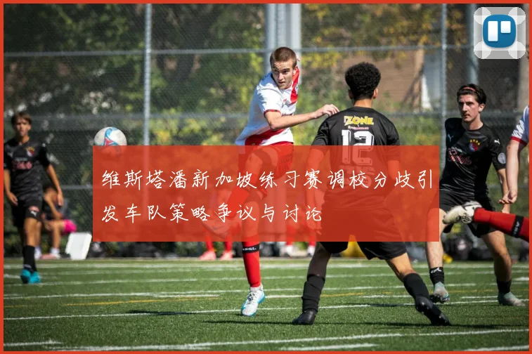 维斯塔潘新加坡练习赛调校分歧引发车队策略争议与讨论